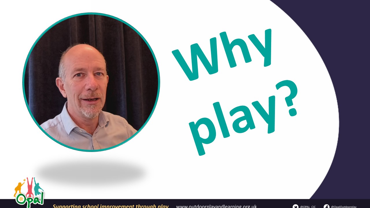 Why_Play